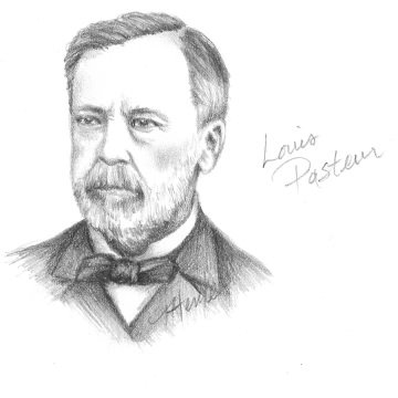 Figure 1.12. Louis Pasteur. The French microbiologist Louis Pasteur. Drawing by Tammi Henke