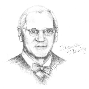 Figure 1.16. Alexander Fleming. The young English physician who discovered the antibiotic penicillin. Drawing by Tammi Henke