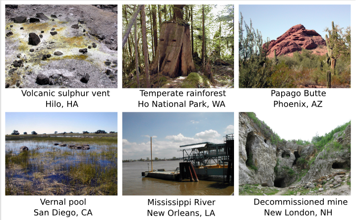 Various environments that may have microbres