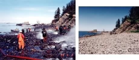 The Alaskan shore being cleaned up during the Exon Valdez oil spill
