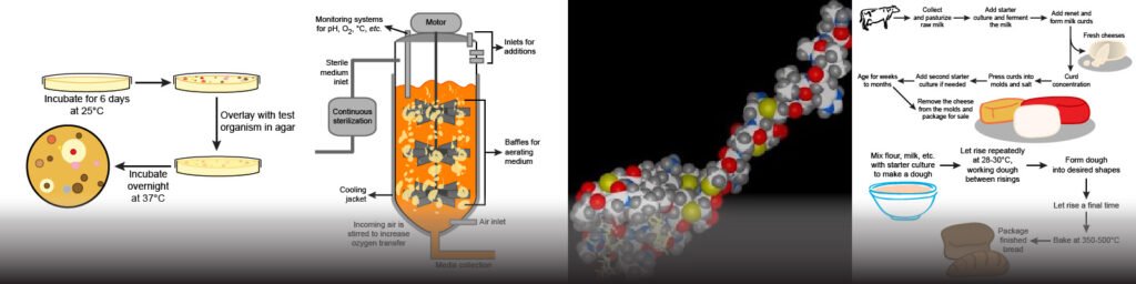 Different applications of microbiology