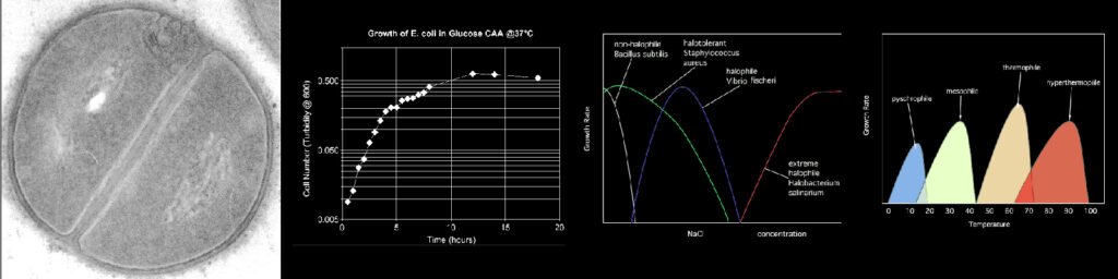 Growth curves and dat